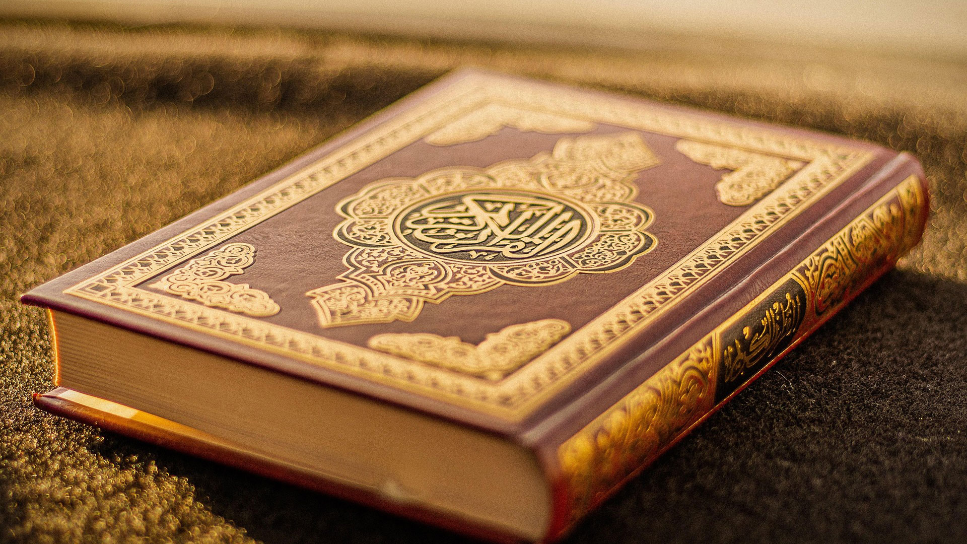 Essential Guide to Arabic Grammar for Beginner
